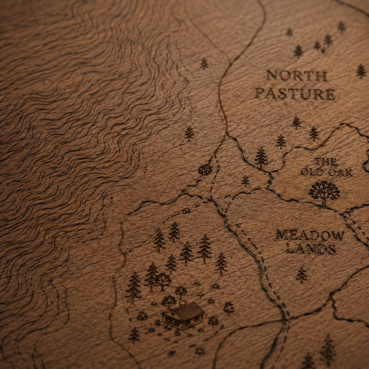 Etched topographic linework close up