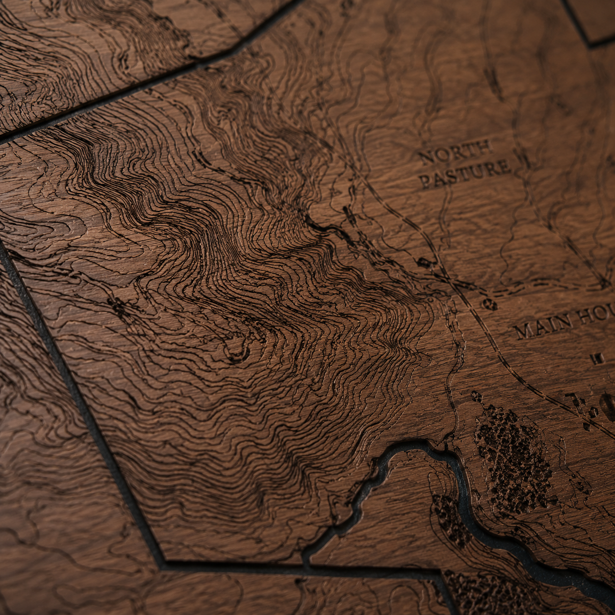 Macro detail of laser-engraved land contours and pasture labels in walnut