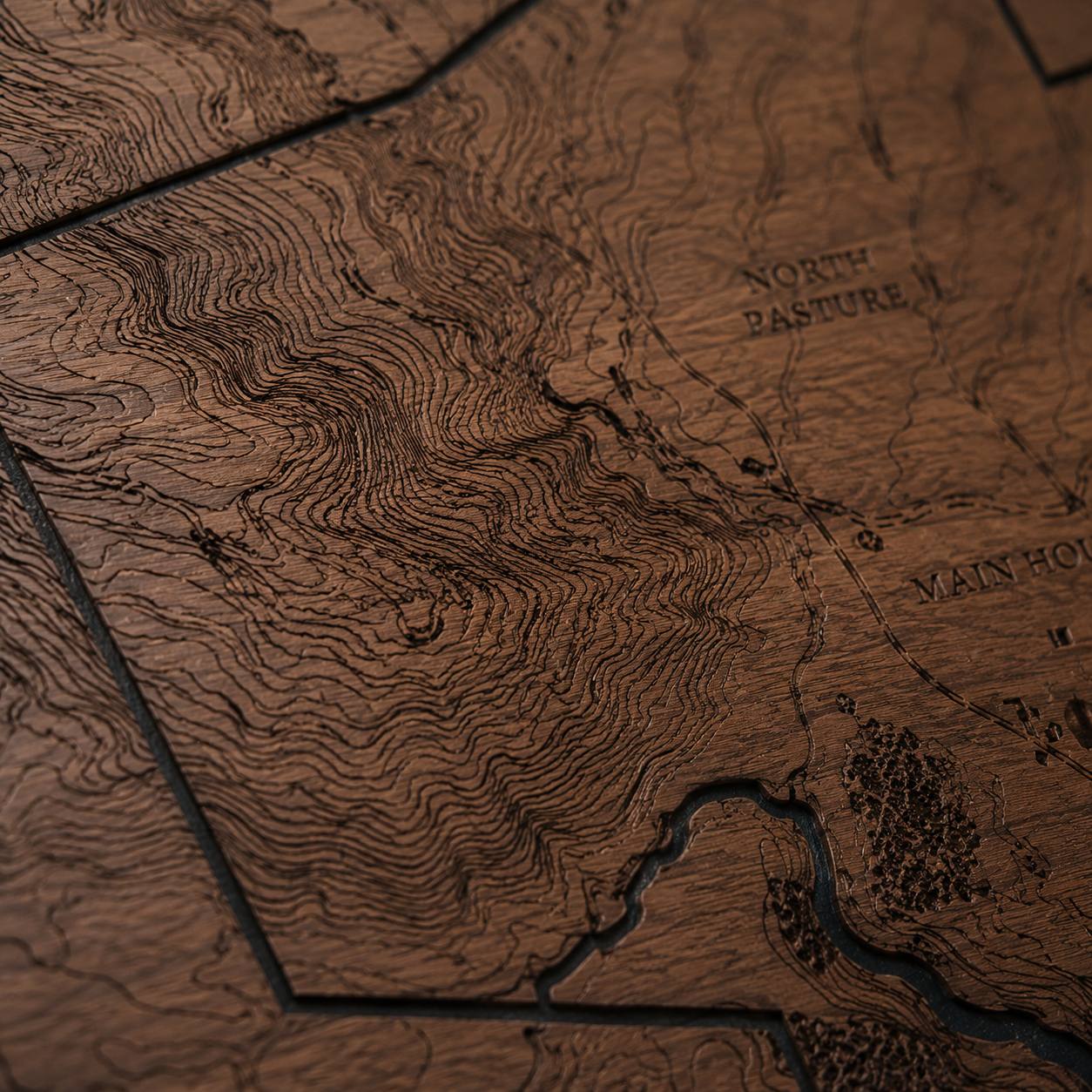 Macro detail of etched land contours and pasture labels in walnut